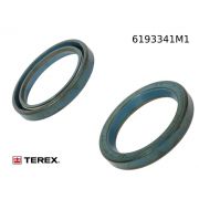 Сальник carraro 025311, TEREX 6193341M1, 196066A1
