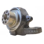 Поворотный кулак правый CARRARO 145264, (6194906M91, 87710165, VOE11709463)